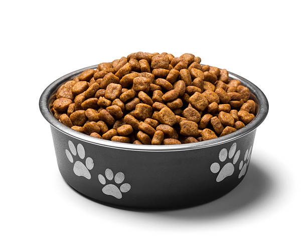Cat Food
